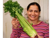 SPRAY FREE CELERY Bunch KATIKATI Grown